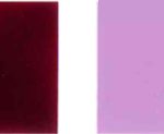 Pigment erőszakos-19-Color